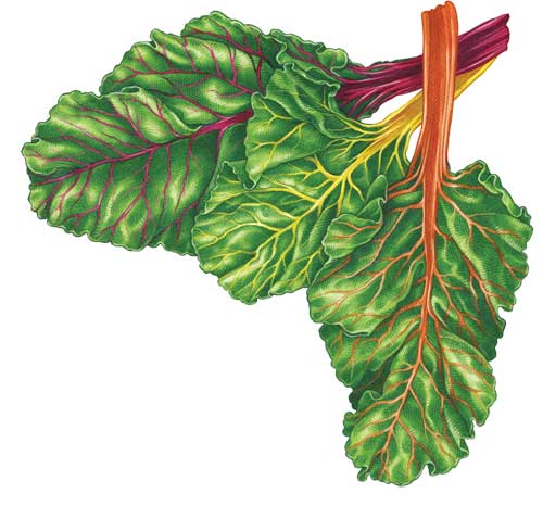 More than a year later, Jeffrey Dickemann is still filling Swiss chard orders!
